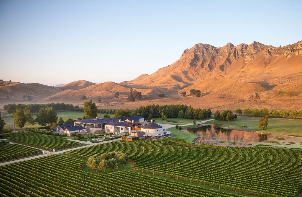 Craggy-Range Hawkes Bay vineyard
