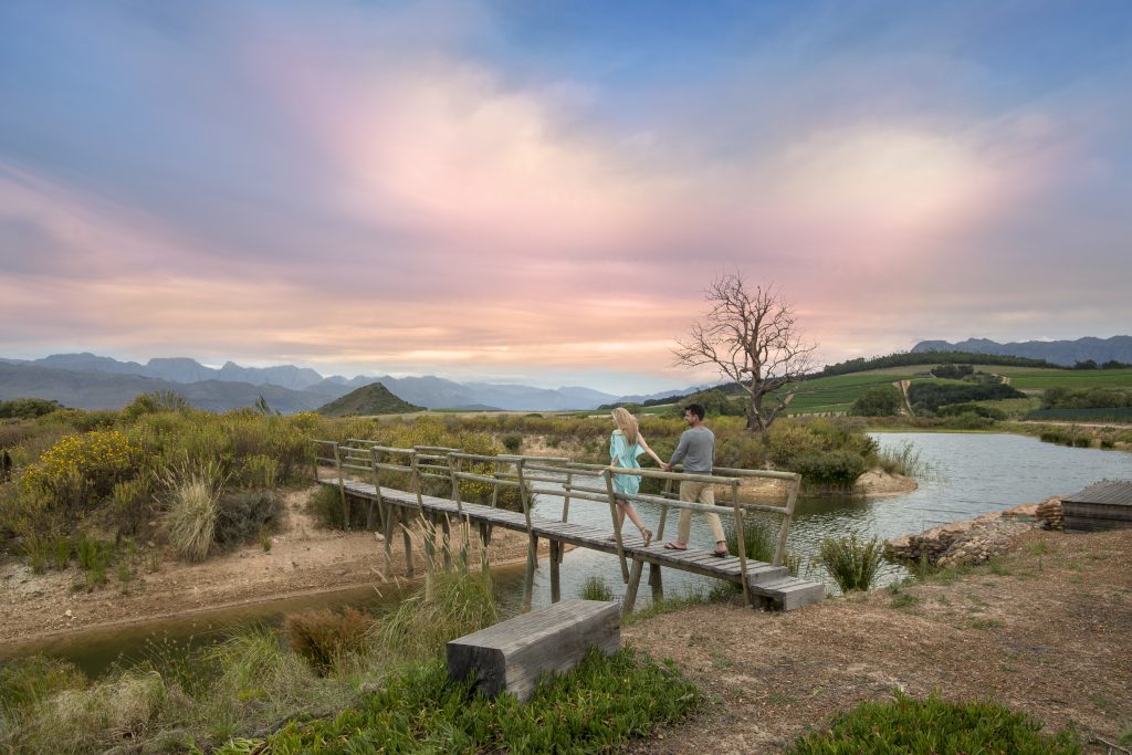 Babylonstoren, Franschhoek Wine Valley
