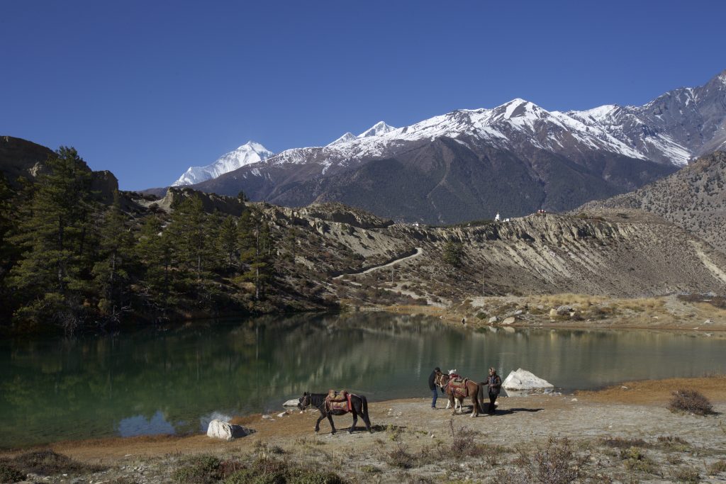Ventours Nepal